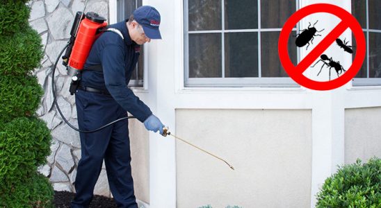 Çatalca Böcek ve Haşere İlaçlama böcek ilaçlama ve haşere kontrolü — ilaclama-tr.com